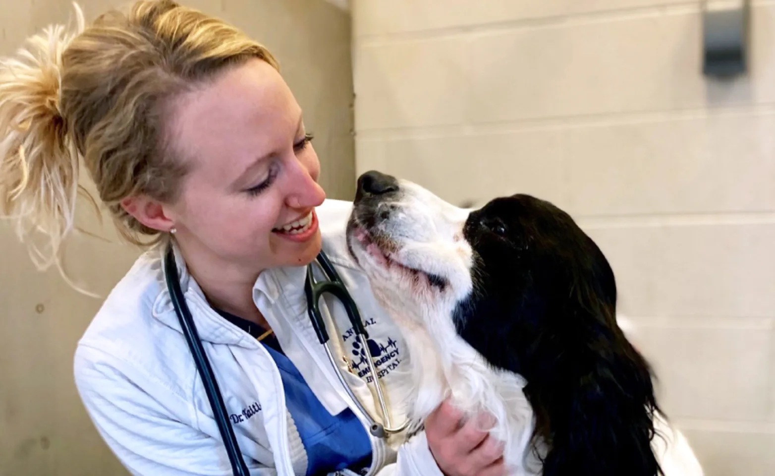 Staff with dog at Animal Emergency Hospital in Grand Rapids, MI